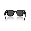 Ray-Ban 0RB4940  Güneş Gözlüğü