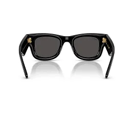 Ray-Ban 0RB4940  Güneş Gözlüğü