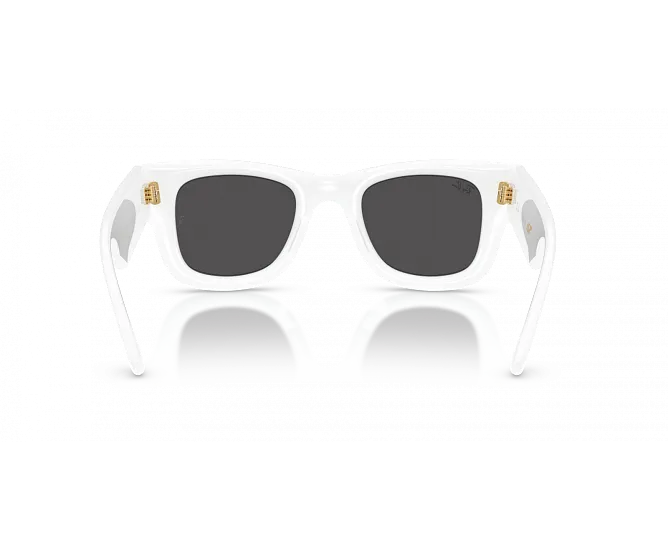 Ray-Ban 0RB4940  Güneş Gözlüğü
