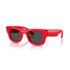 Ray-Ban 0RB4940  Güneş Gözlüğü