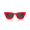 Ray-Ban 0RB4940  Güneş Gözlüğü