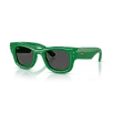 Ray-Ban 0RB4940  Güneş Gözlüğü