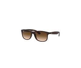 RayBan 4202 6073/13 55 Güneş Gözlüğü