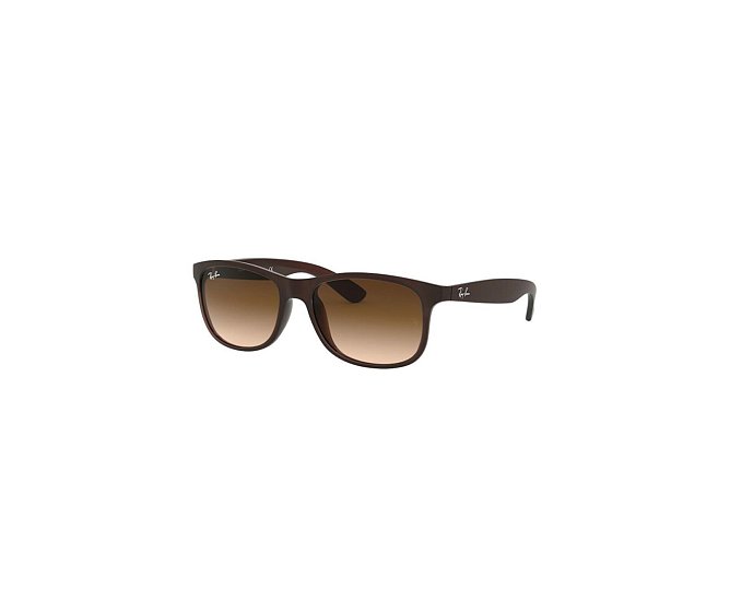 RayBan 4202 6073/13 55 Güneş Gözlüğü